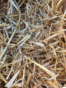  Close-up of golden barley straw showing short stalks and flattened strands for rabbit bedding.