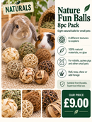 Rosewood Naturals Nature Fun Balls product graphic showing eight different natural play balls with a rabbit and guinea pig, priced at £9