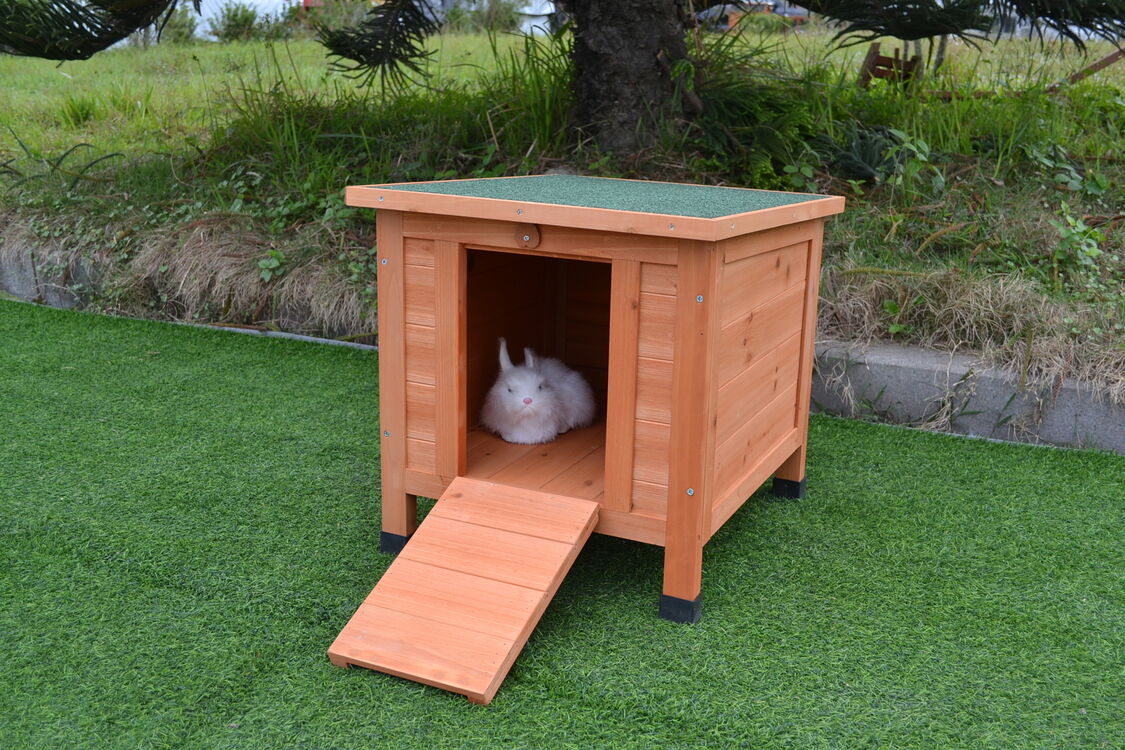 Cheltenham Shelter - run house – My Rabbit Stuff