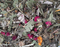 Fresh Dried Flower & Herb mix -4 sizes