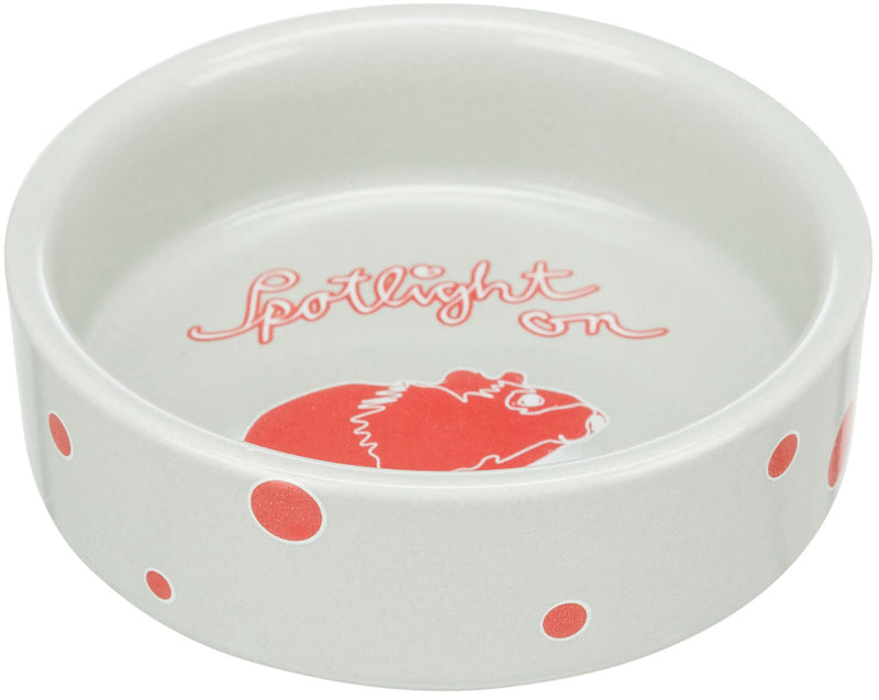 Spotlight Hamster Bowl – My Rabbit Stuff