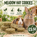Rabbit and guinea pig beside small, round compressed meadow hay cookies.