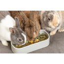 Oval group feeding bowl