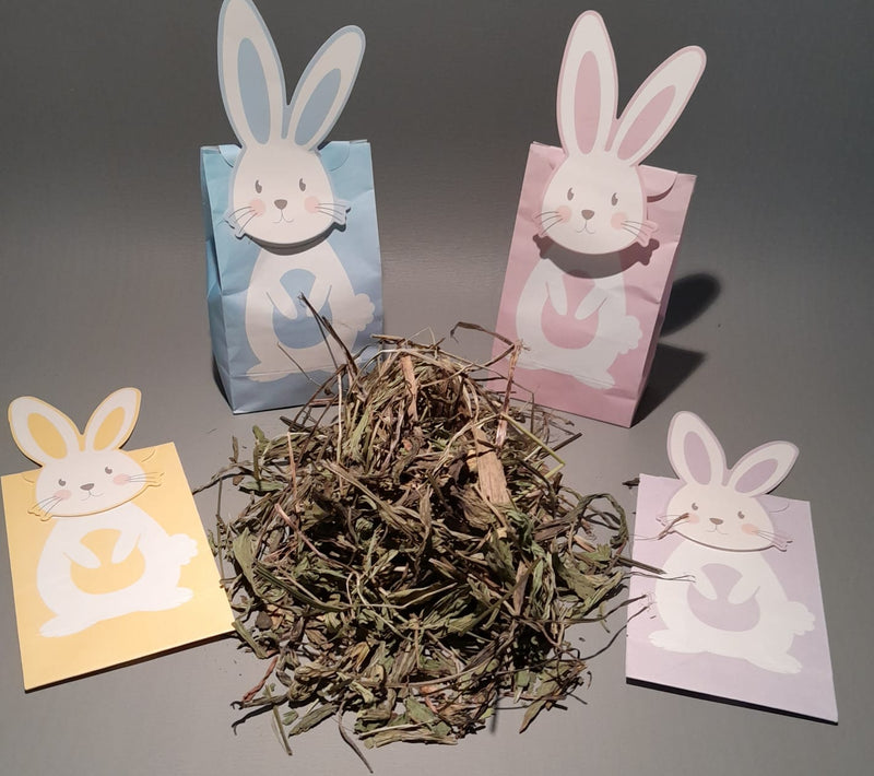 Bunny Treat Bags-6 types