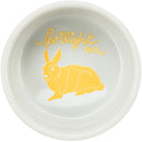 Spotlight Rabbit bowl