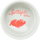 Spotlight Guinea pig Bowl