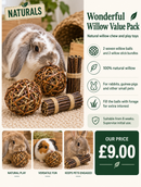 Product information graphic for the Rosewood Naturals Wonderful Willow Value Pack, showing two woven willow balls, two willow stick bundles, rabbits and a guinea pig, with a price of £9
