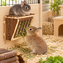 Two rabbits in a wooden hutch, with one eating hay from a hanging wood-mounted hay feeder and the other sitting nearby