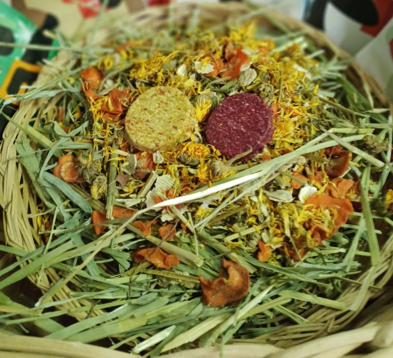 🎄 Christmas Forage Bags – 150g of the Best Bunny Snacks!