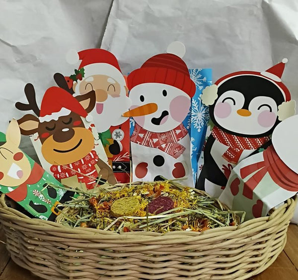 🎄 Christmas Forage Bags – 150g of the Best Bunny Snacks!