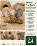  a pet toy set with  two rabbits playing with natural fiber balls Trio of Fun Balls' with natural chew and play balls