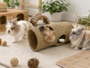 Three long-haired rabbits in a cozy indoor play area. One rabbit sits inside a woven straw tunnel, while another stands nearby and a third sits to the right.