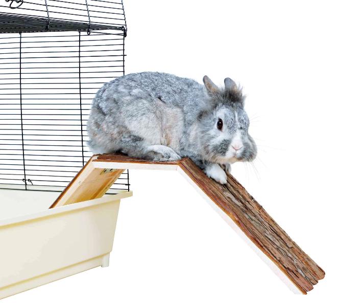Rabbids Ramp Wooden Indoor cage Bridge/Ramp – My Rabbit Stuff