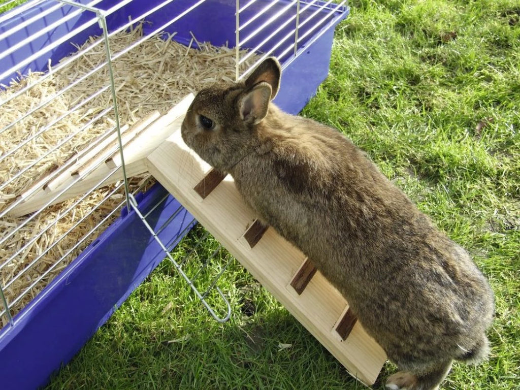 Wood Ramp / cage Bridge – My Rabbit Stuff