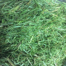  Close-up of dried grass showing green blades, stalks and seed heads.