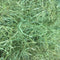 Meadow Hay-Soft