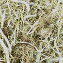 Close-up of English Timothy hay showing long pale-green stalks and seed heads.