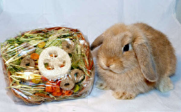 Bunny treat basket