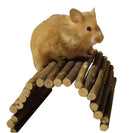 for small rodents