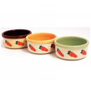 Carrot 5 inch  bowl