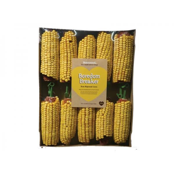 Corn on the Cob-Bumper 10 pack
