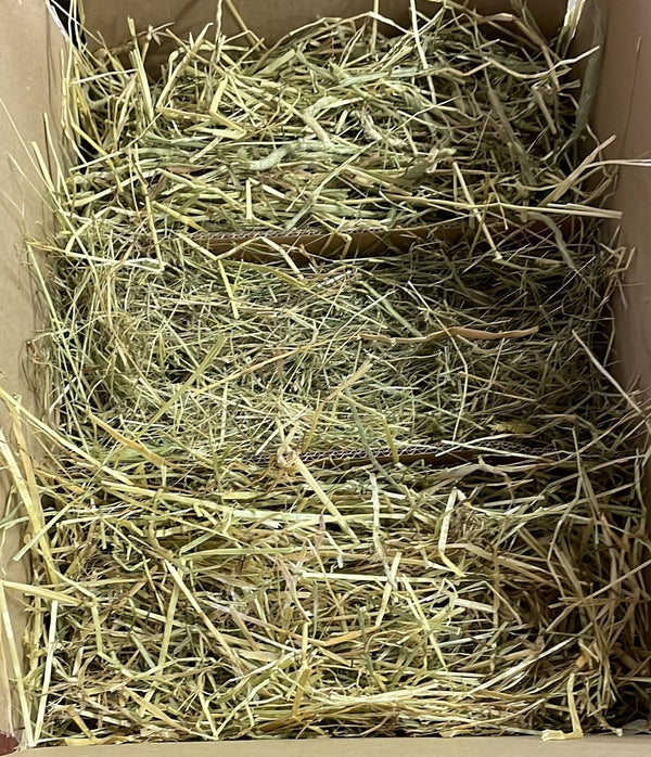 Hay sample box*- 3 types